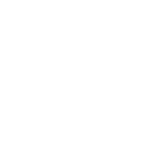 .25film